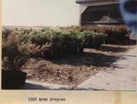 Tree Program - 1989.