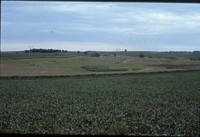 Conservation progress on Jim Fassler's farm.
