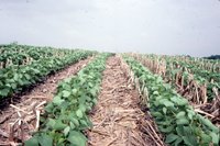 Jerry Lehman no-till