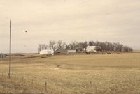 Cattle farm 