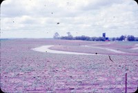 Level broad based terraces with water in the channel.