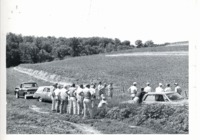 Bench-type terraces, 1965