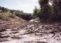1993 flood and Flint River debris removal