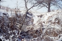Winter gully.