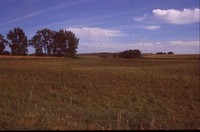 Restoration Project on Smokey Stover's Farm.