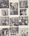 1955 yearbook