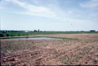Photograph Collection Of Mrs. Lionel Evans Farm 