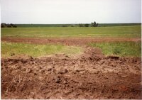 1996  Terraces built by Vera Miller