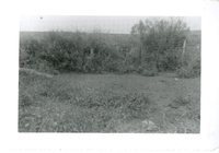 J.W. Robertson Toe Wall Site, 1959