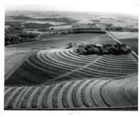 Contour Farming on the farm of the late Clarence Pellett. 