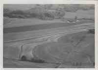 Aerial view of farmland with road running down the middle and trees in the distance