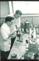 Dental students working in lab, The University of Iowa, 1950s