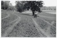 Theresa Beckman in field where native grasses will be planted