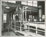 Pouring milkweed seeds into the solvent oil extractor, Oil extraction plant