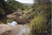 Flint Creek Stream bank before<br /><br />
<br /><br />
<br /><br />
