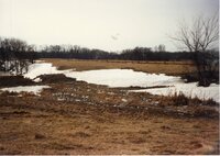 Construction of Ponds and Wetlands on Albert Heckenberg   farm