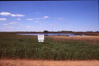 Larry Braby's Farm Before and After a Wetland Construction Project.