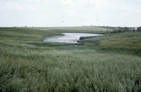 Water management farming practices on the Roepke farm.