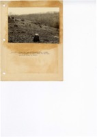 1938 - Gully bank in former woods