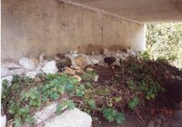 1993 Sandbags by rivers