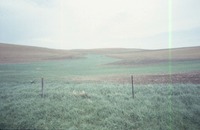 Farmland with fence, 1988 