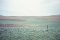 Farmland with fence, 1988 