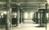 Display cases in the Museum of Natural History, the University of Iowa, 1920s