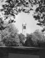 Campanile, 1954