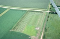 Windbreak on the farm of Don and Phyllis Conley.