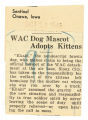 WAC dog mascot adopts kittens