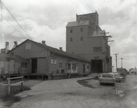 Mediapolis Feed Grain and Supply
