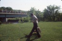 Releasing an otter.