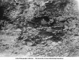 Coal Measure Shale, Fort Dodge, Iowa, late 1890s or early 1900s