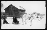 Boys on horse-drawn sleds