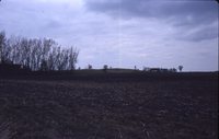 Watershed on the Cory Farm.