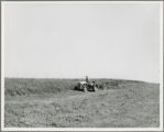 Moving and windrowing grass