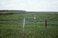 Water management farming practices on the Roepke farm.