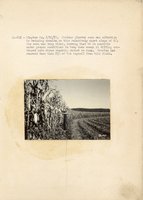 1934 - 1938 Multi-State Photograph Collection  