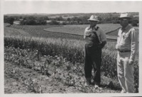 Ray Cummings' Farm.