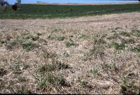 Larry Braby's Farm Before and After a Wetland Construction Project.