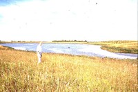 Waterway Construction on the Moeller Farm.