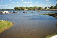 Views of Docs Cove.