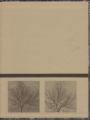 1975 Yearbook