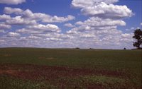 Larry Braby's Farm Before and After a Wetland Construction Project.