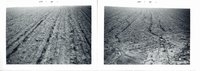 Soil erosion on a fallow field, 1965