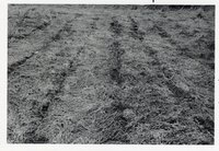 1976 Rural Scenes Photos by the Des Moines County Soil Conservation District