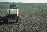In the field 