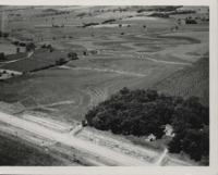 Strip cropping on the Lehman farm.