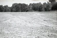 Drainage pipes in ground 