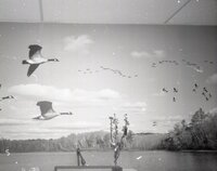 Backdrop with ducks